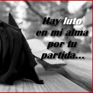 Meet your Posher, Carlos